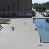 Wright State Arial (1)