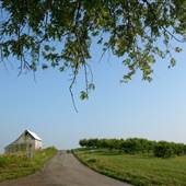 Morgan county