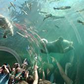 Columbus Zoo and Aquarium