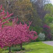 Wegerzyn Gardens MetroPark