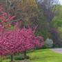Wegerzyn Gardens MetroPark