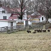 Slate Run Farm