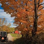 Holmes County – Amish Country