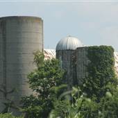 Ostrander Farms