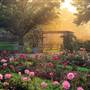 Whetstone Park/ Park of Roses