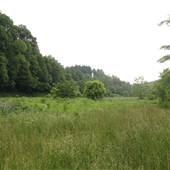 Clearcreek