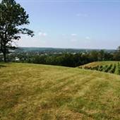Georgetown Vineyards