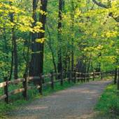 Metro Parks