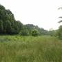 Clearcreek