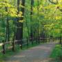 Metro Parks