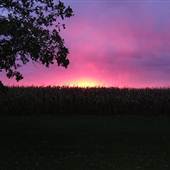 Union County Ohio