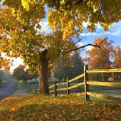 Hale Farm