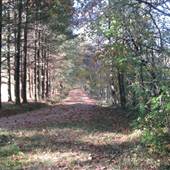 Home and acreage