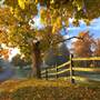 Hale Farm