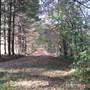 Home and acreage