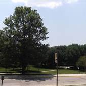 Sunken Garden