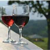 Georgetown Vineyards and Tavern
