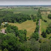 Darby Dan Farm