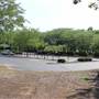 VORA Technology Park